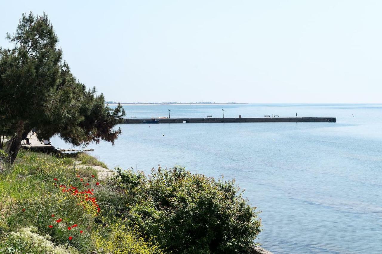 Villa Alexandra Νέα Ηράκλεια Εξωτερικό φωτογραφία