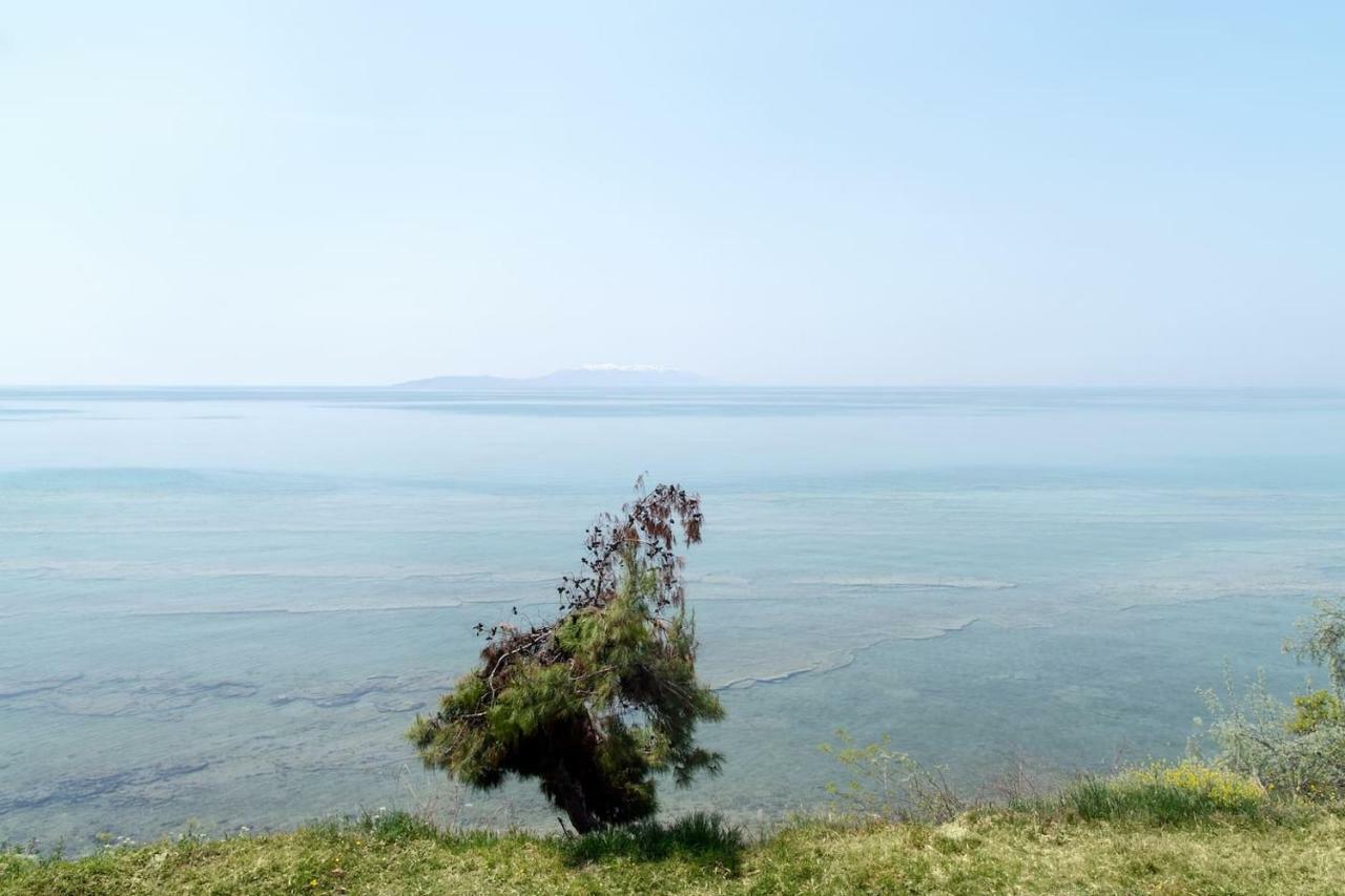 Villa Alexandra Νέα Ηράκλεια Εξωτερικό φωτογραφία