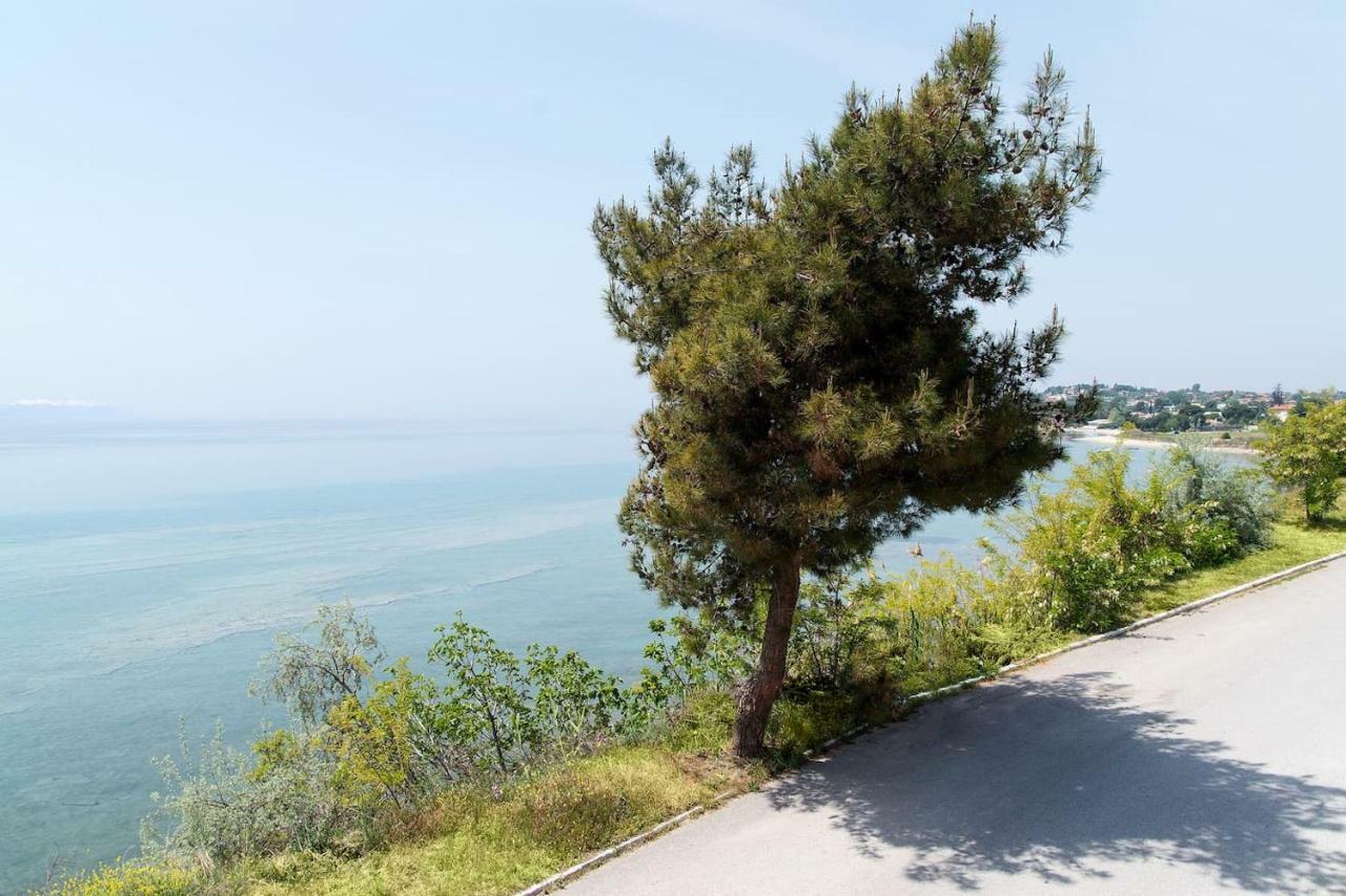 Villa Alexandra Νέα Ηράκλεια Εξωτερικό φωτογραφία
